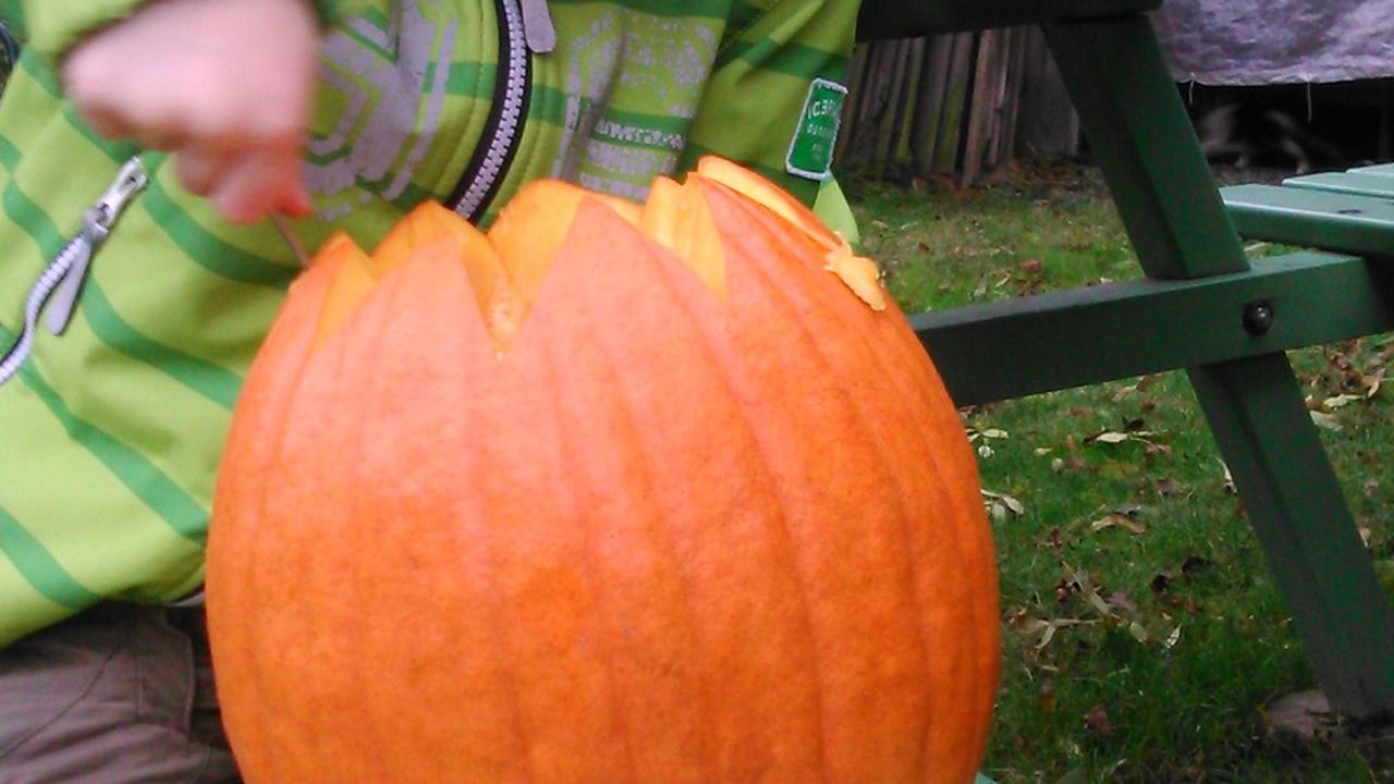 Kürbisschnitzen Kürbisschnitzen